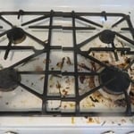 Housecleaning Project