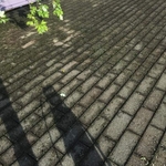 Roof cleaning before