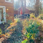 Back of house before
