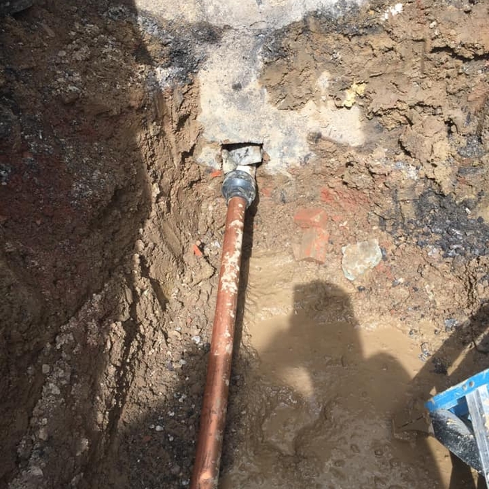 Additional Photos