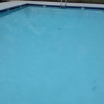 Algae cleanup and removal