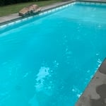 Algae cleanup and removal