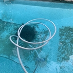 Algae cleanup and removal
