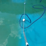 Algae cleanup and removal