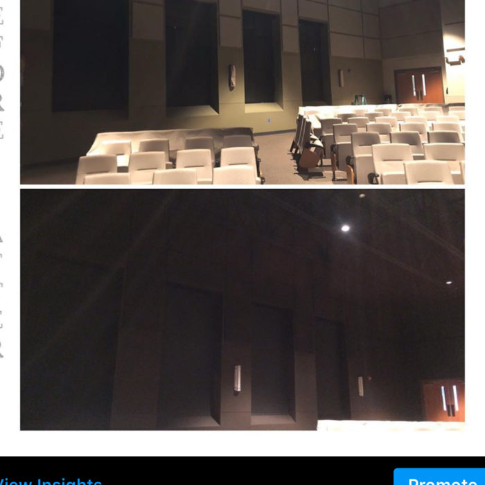 Auditorium Painting