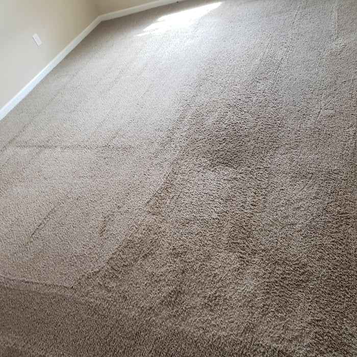 Carpet Cleaning