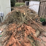 Debris clean up
