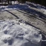 Private Road and Driveway Entrance (actual picture from the camera.)