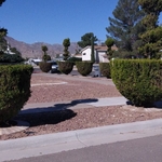 Landscaping Project