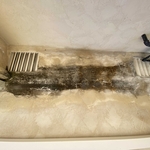 Soft washing