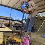Additional Photos