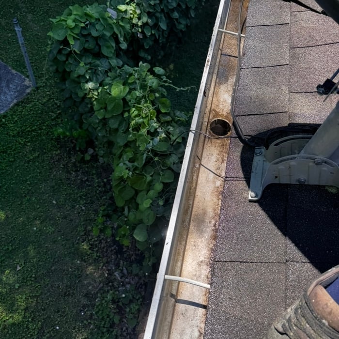Gutter cleaning