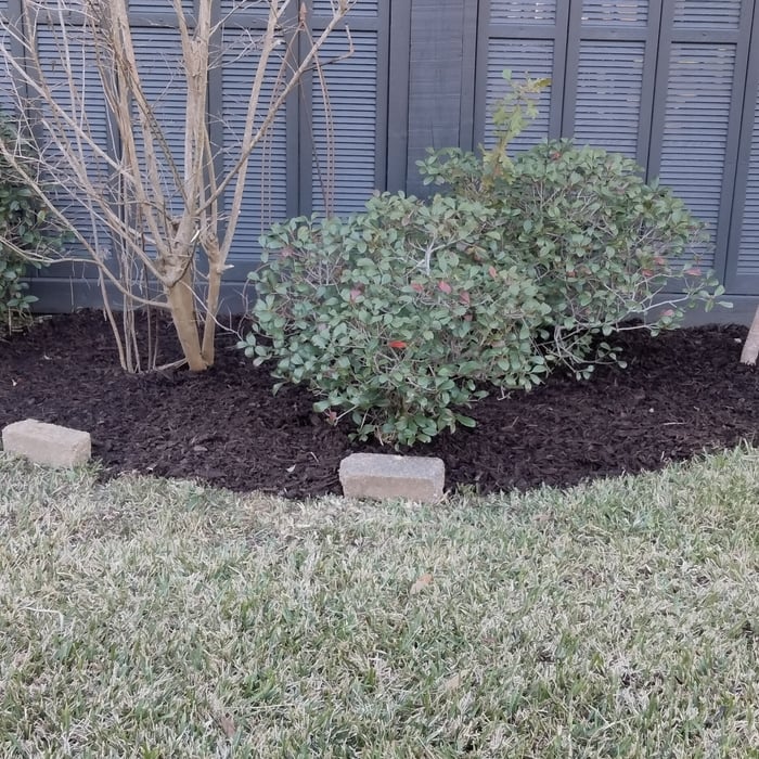 Additional Photos