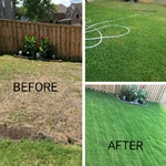Sod Installations