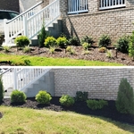 Flower bed renovation