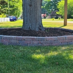 Within a day our crew had installed a new tree ring. Using tumbled Belgian block in Autumn blend for a more updated style.
