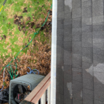 House cleaning / gutter cleaning and guard install