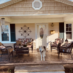 Pressure Washing Project