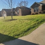 Front yard