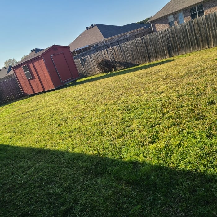 Back yard
