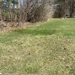 Tree Service Project