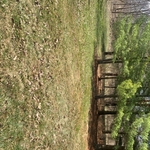Tree Service Project