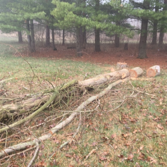 Additional Photos