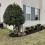 Additional Photos