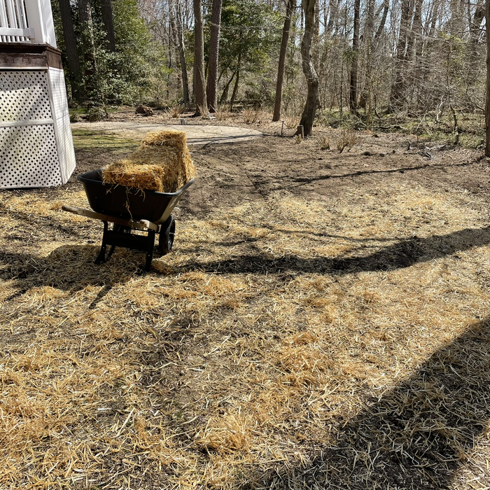 Additional Photos