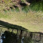 Landscaping Project