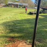 Landscaping Project