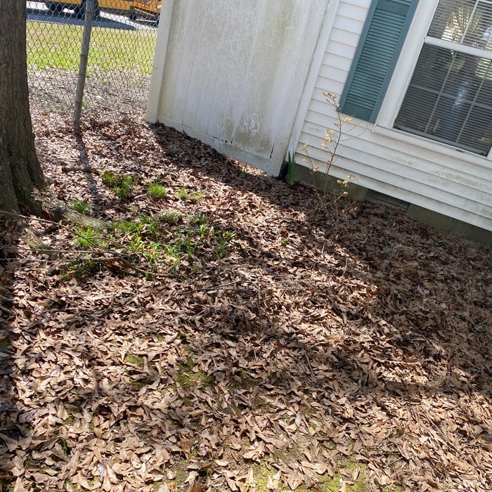 Additional Photos