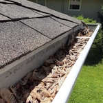 Gutter Cleaning Project