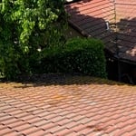 Roofing Project