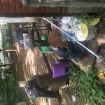 Removal of junk and debris from propety