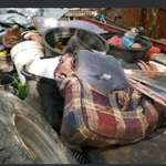 Removal of junk and debris from propety