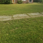 After Cut.