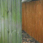 Pressure Washing Project