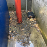 Before- Dumpster area