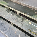 Concrete porch and wood steps