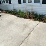 Yard cleanup
