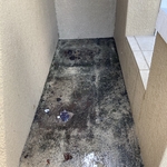 Pressure Washing Project