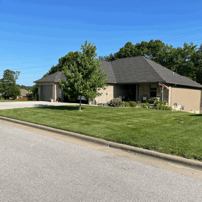 Additional Photos