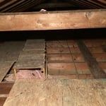 Pest Control/Exterminating Project