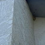 Pest Control Project