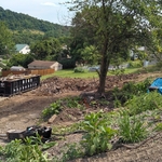 Demolition site building pad and grading