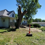 Tree Service Project