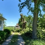 Tree Service Project