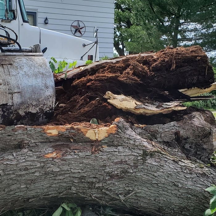 Tree Service Project