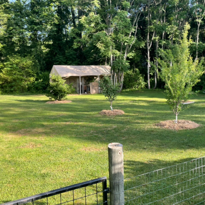 Additional Photos